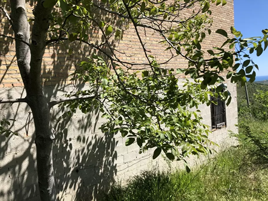Immagine 15 di Rustico / casale in vendita  in colle mincuccio a Cupello