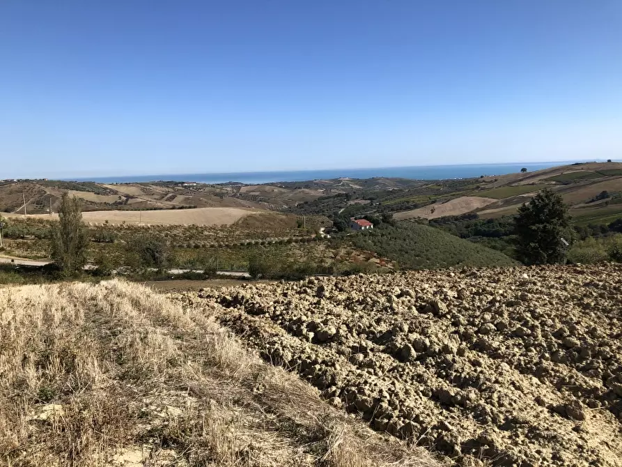 Immagine 11 di Rustico / casale in vendita  in CONTRADA RAMIGNANO a Cupello