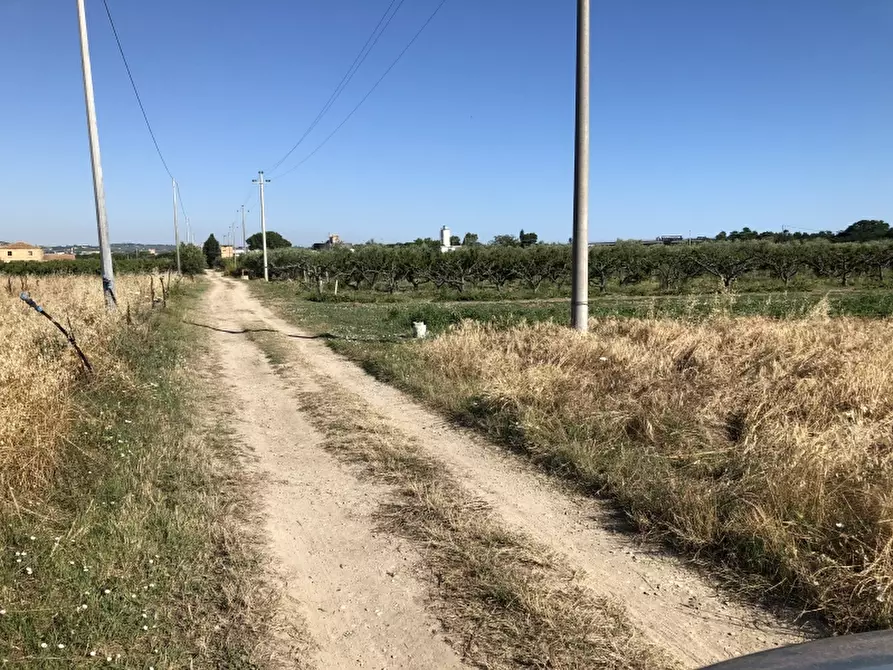 Immagine 17 di Terreno industriale in vendita  in CONTRADA PADULA a San Salvo