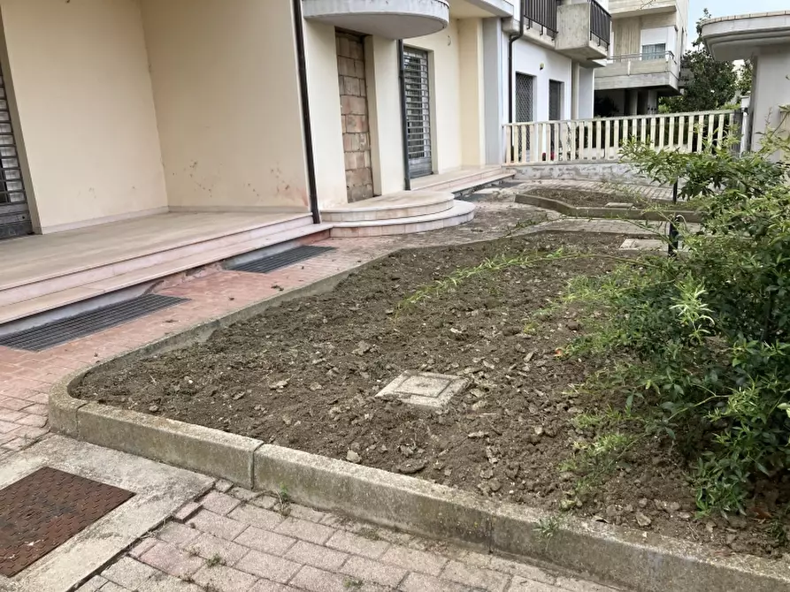 Immagine 5 di Locale commerciale in vendita  in san salvo a San Salvo