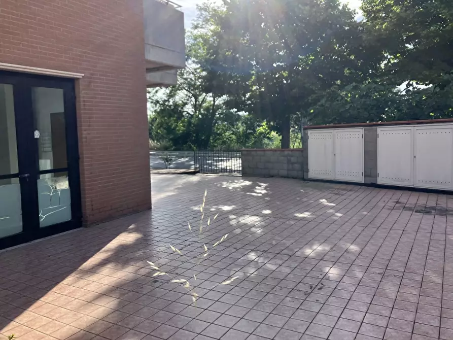 Immagine 2 di Negozio in vendita  in VIA GRASCETA a San Salvo