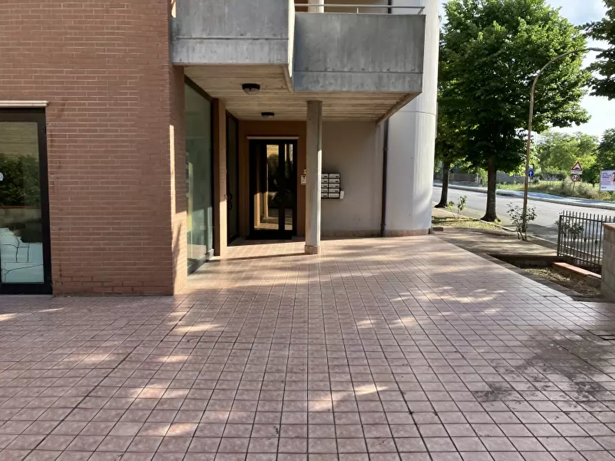 Immagine 7 di Negozio in vendita  in VIA GRASCETA a San Salvo