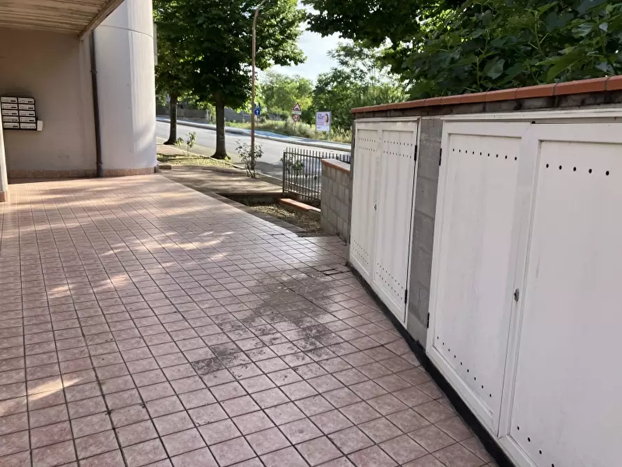 Immagine 8 di Negozio in vendita  in VIA GRASCETA a San Salvo