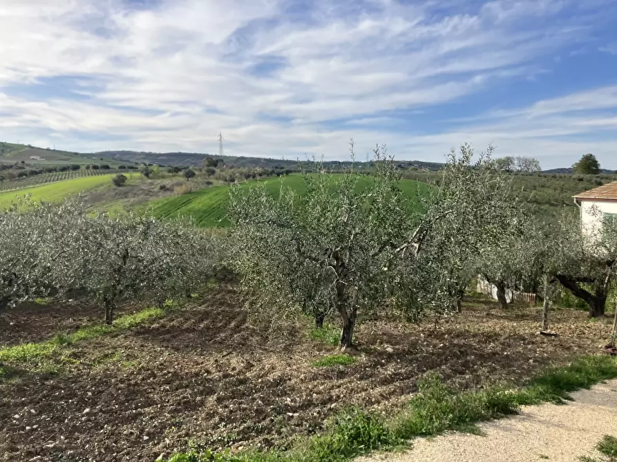 Immagine 1 di Terreno agricolo in vendita  in piano di marco a Cupello