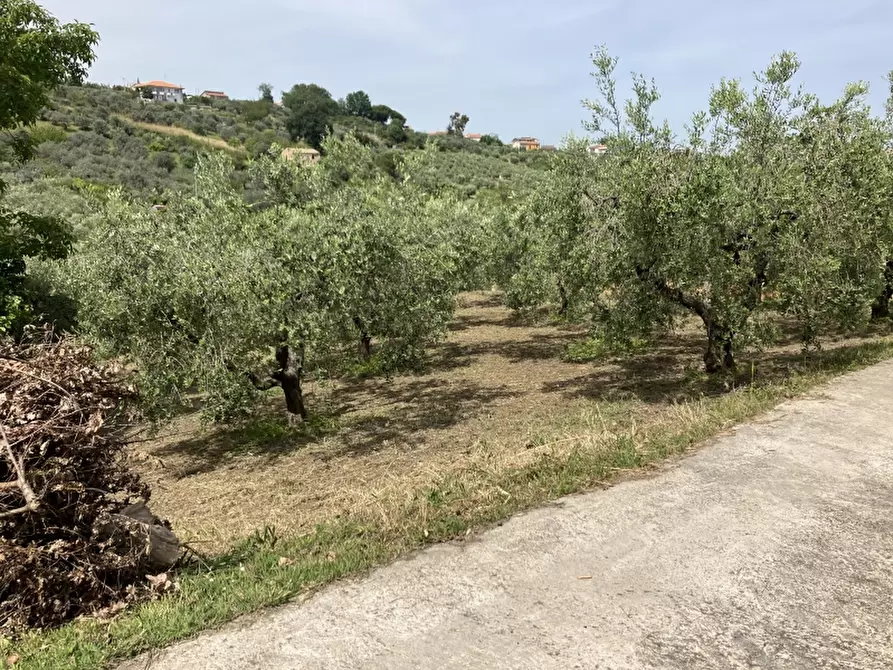 Immagine 1 di Terreno agricolo in vendita  in CIRCONVALLAZIONE HISTONIENSE a Vasto