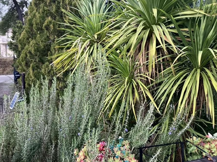 Immagine 21 di Villa in vendita  in VIA MIRAMONTI a Cupello