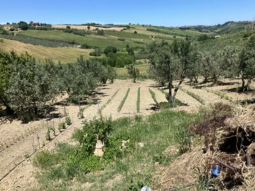 Immagine 11 di Casa indipendente in vendita  in CUPELLO a Cupello