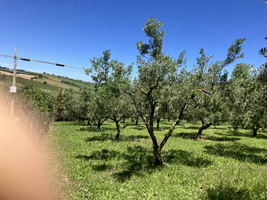 Immagine 13 di Casa indipendente in vendita  in CUPELLO a Cupello