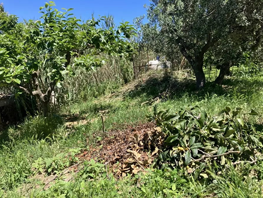 Immagine 14 di Casa indipendente in vendita  in CUPELLO a Cupello