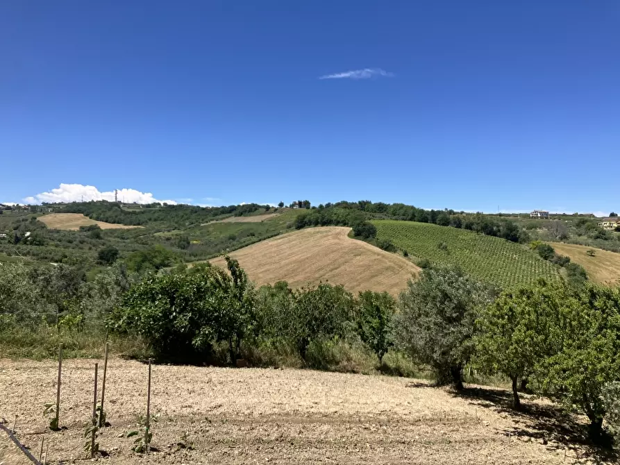Immagine 15 di Casa indipendente in vendita  in CUPELLO a Cupello