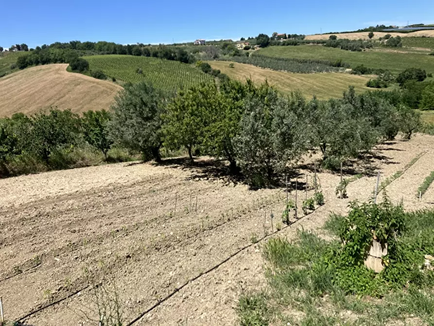 Immagine 16 di Casa indipendente in vendita  in CUPELLO a Cupello