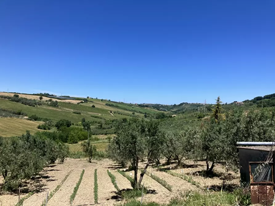Immagine 17 di Casa indipendente in vendita  in CUPELLO a Cupello