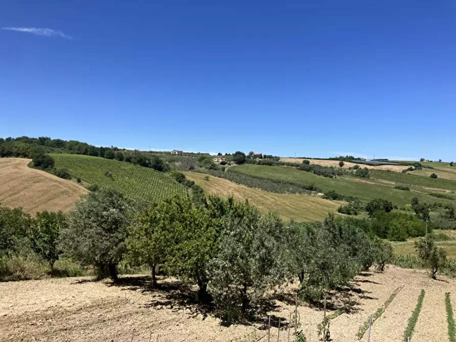 Immagine 18 di Casa indipendente in vendita  in CUPELLO a Cupello