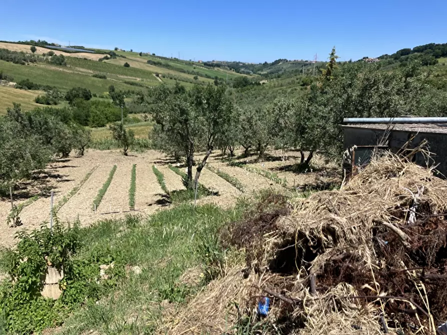 Immagine 19 di Casa indipendente in vendita  in CUPELLO a Cupello