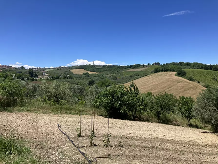 Immagine 20 di Casa indipendente in vendita  in CUPELLO a Cupello