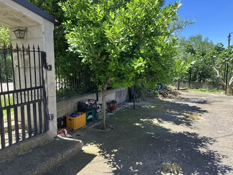 Immagine 23 di Casa indipendente in vendita  in CUPELLO a Cupello