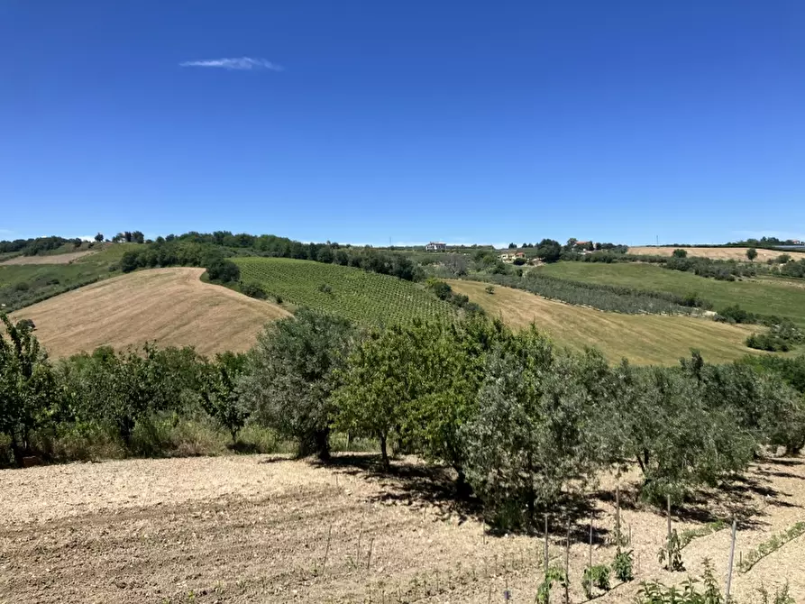 Immagine 24 di Casa indipendente in vendita  in CUPELLO a Cupello