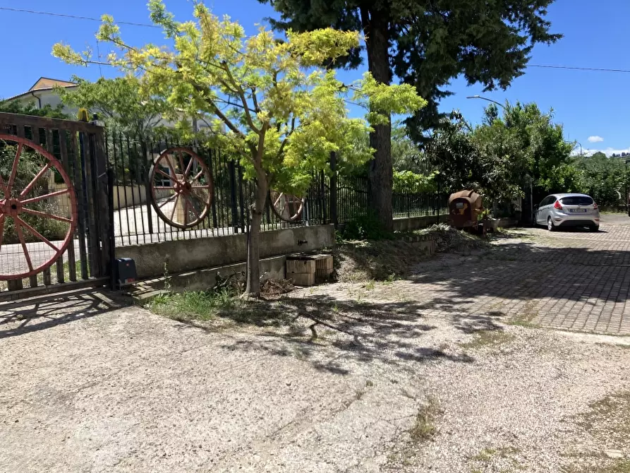 Immagine 28 di Casa indipendente in vendita  in CUPELLO a Cupello