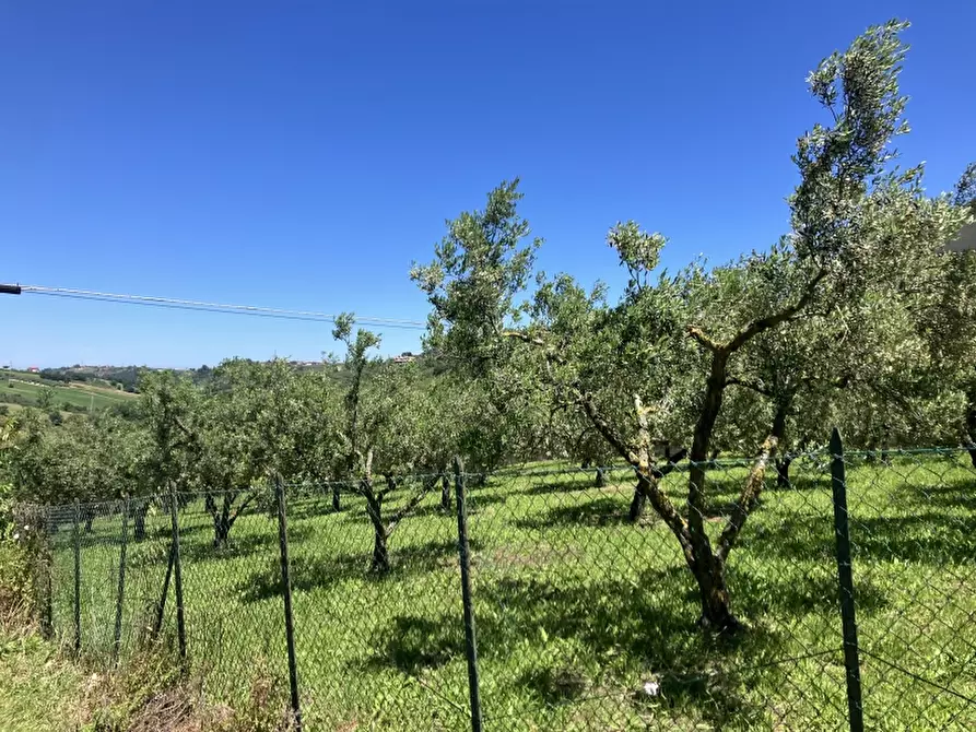 Immagine 29 di Casa indipendente in vendita  in CUPELLO a Cupello