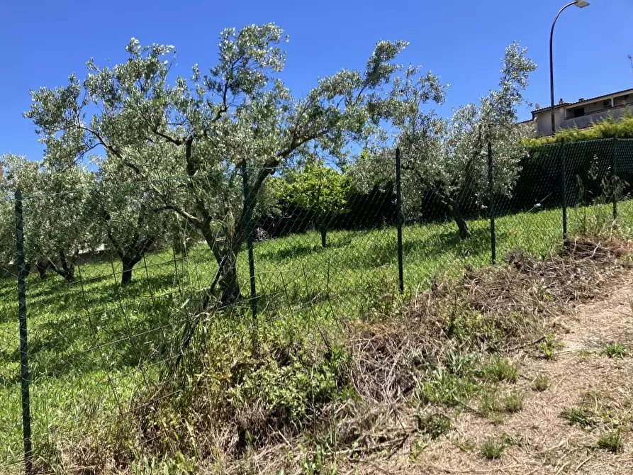 Immagine 31 di Casa indipendente in vendita  in CUPELLO a Cupello