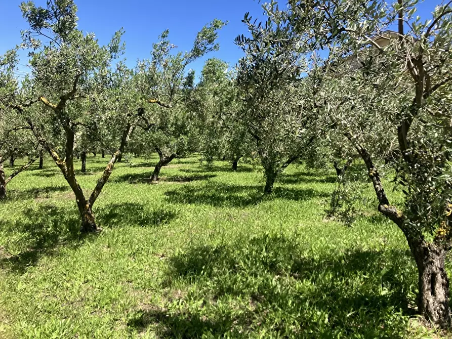 Immagine 7 di Casa indipendente in vendita  in CUPELLO a Cupello
