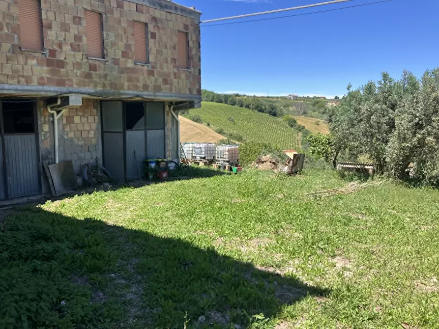 Immagine 8 di Casa indipendente in vendita  in CUPELLO a Cupello