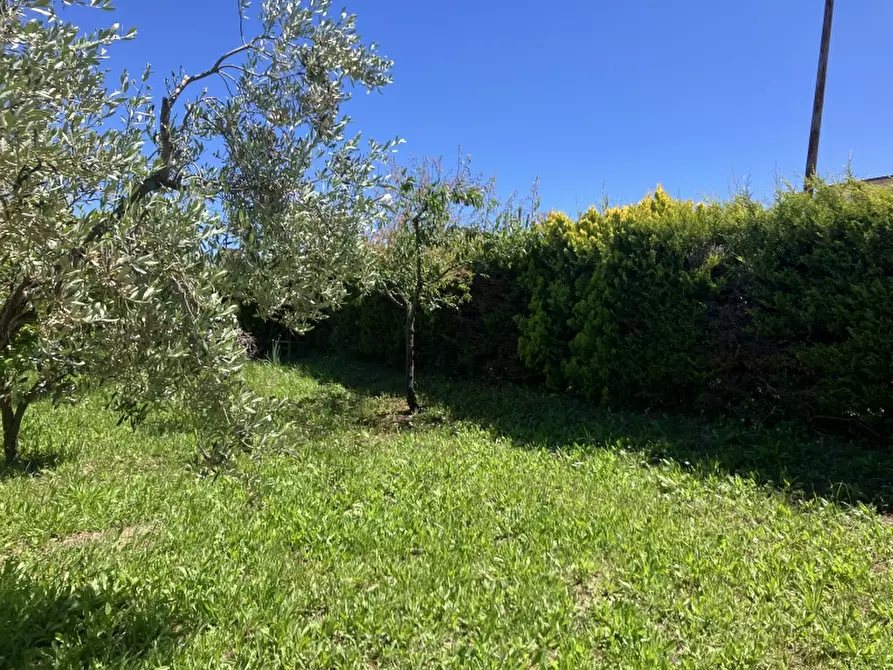 Immagine 9 di Casa indipendente in vendita  in CUPELLO a Cupello