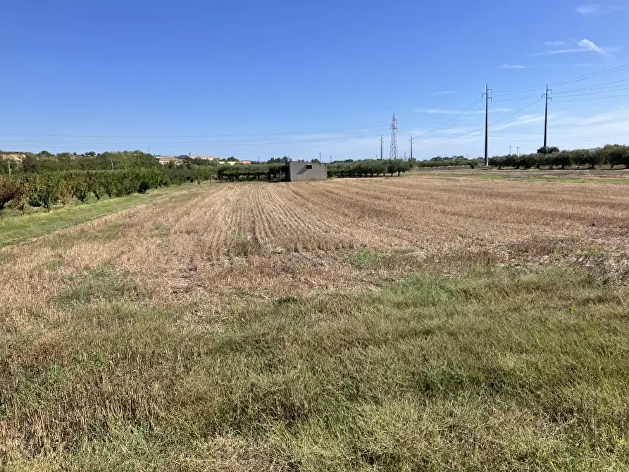 terreno agricolo in vendita a Cupello in zona Bufalara