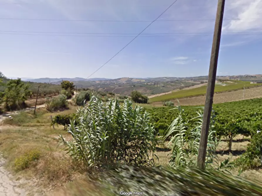 Immagine 1 di Terreno agricolo in vendita  in CONTRADA COLLE PIZZUTO a Vasto
