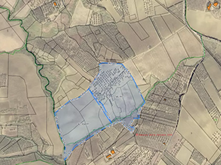 Immagine 3 di Terreno agricolo in vendita  in CONTRADA COLLE PIZZUTO a Vasto