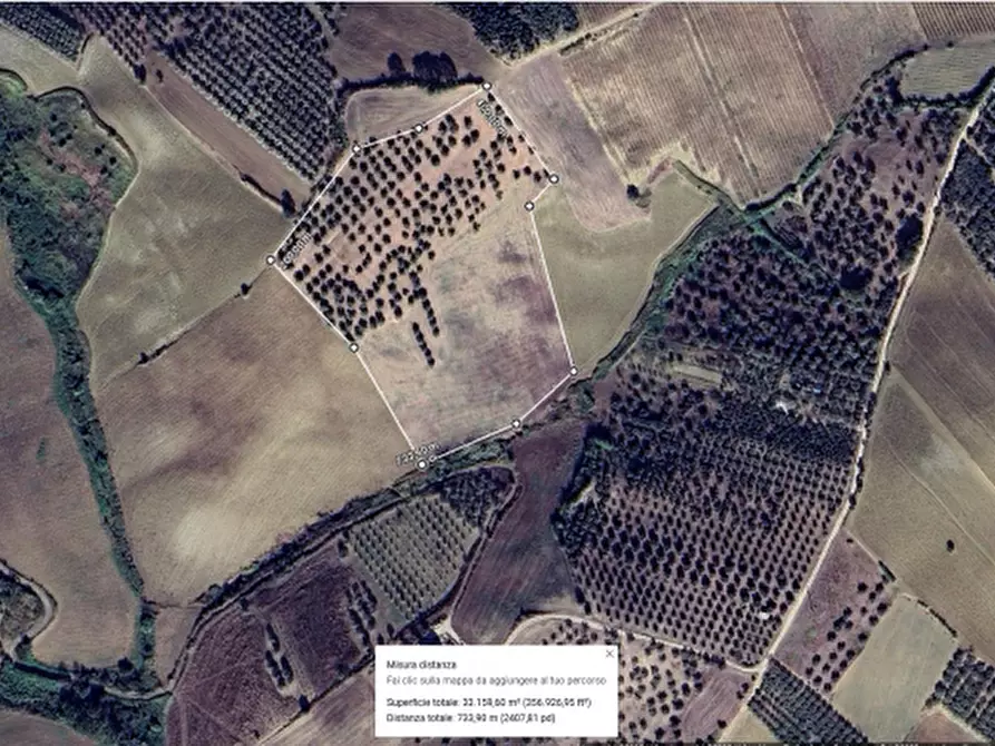 Immagine 4 di Terreno agricolo in vendita  in CONTRADA COLLE PIZZUTO a Vasto