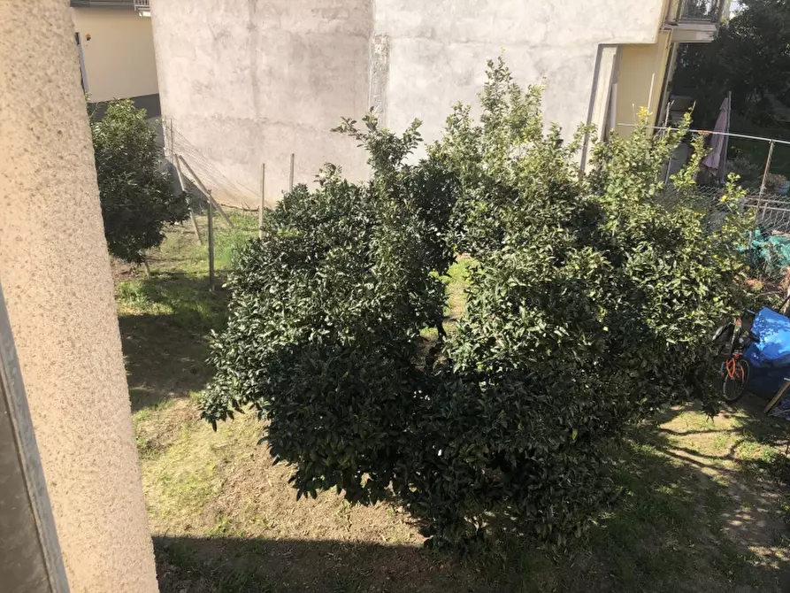 Immagine 30 di Appartamento in vendita  in VIA TEVERE 17 a San Salvo