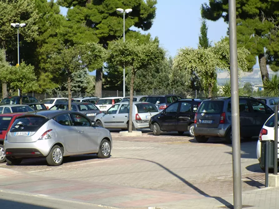 Immagine 3 di Appartamento in vendita  in VIA SABAUDA a Cupello