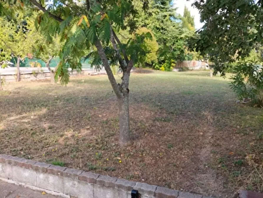 Immagine 13 di Appartamento in vendita  in via italia a Gissi