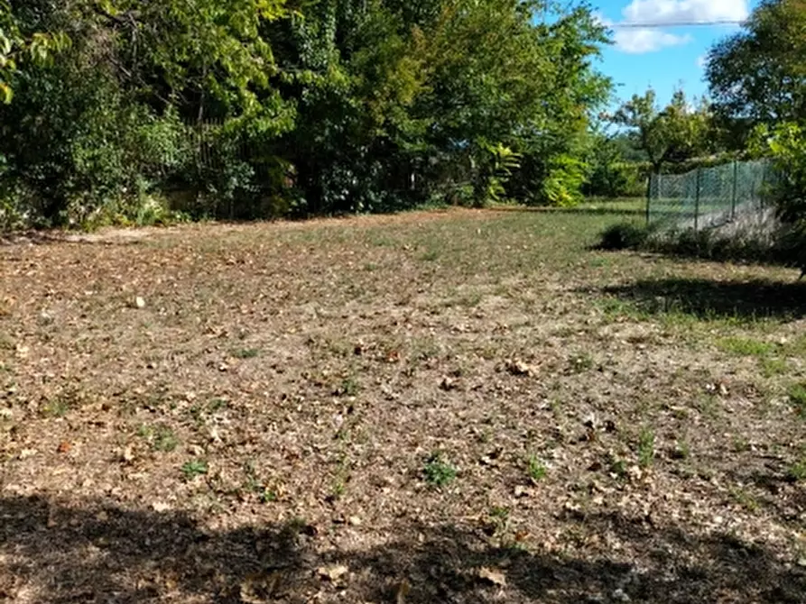 Immagine 9 di Appartamento in vendita  in via italia a Gissi