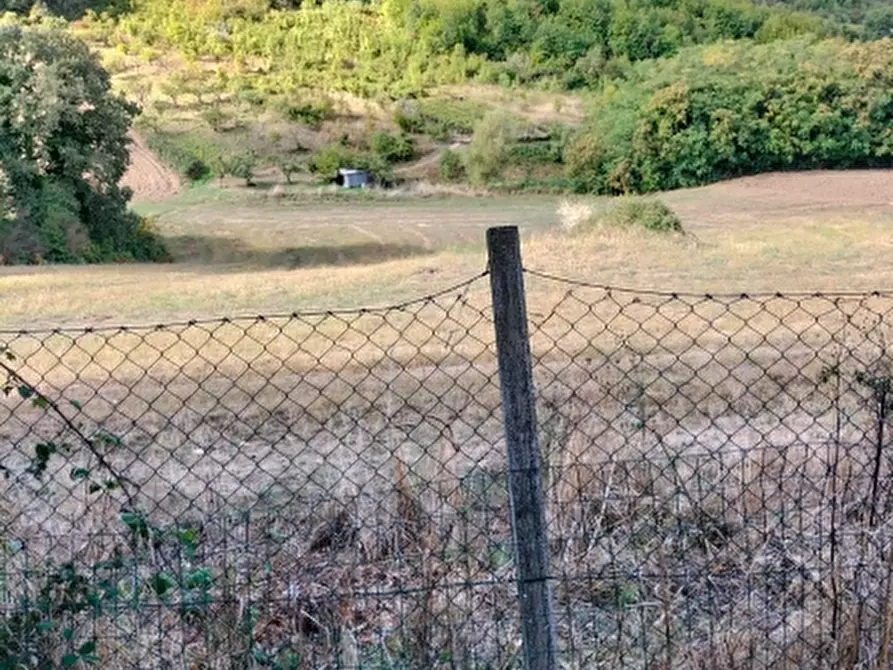 Immagine 11 di Appartamento in vendita  in via italia a Gissi