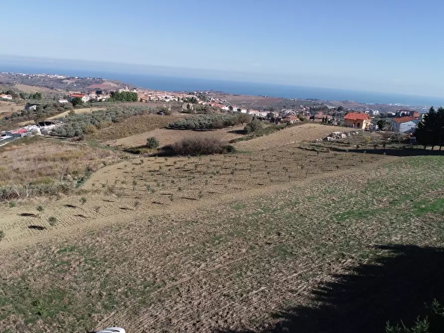 Immagine 15 di Terreno agricolo in vendita  in COLLE MINCUCCI a Cupello