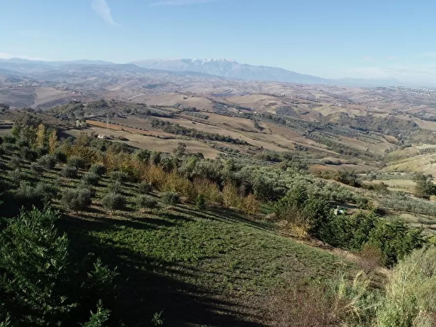 Immagine 17 di Terreno agricolo in vendita  in COLLE MINCUCCI a Cupello