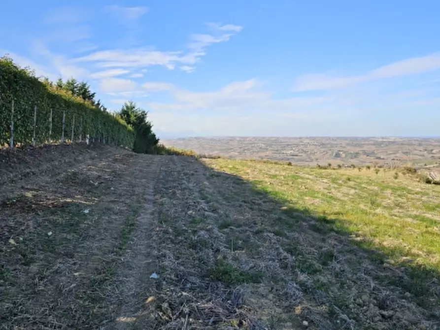 Immagine 19 di Terreno agricolo in vendita  in COLLE MINCUCCI a Cupello