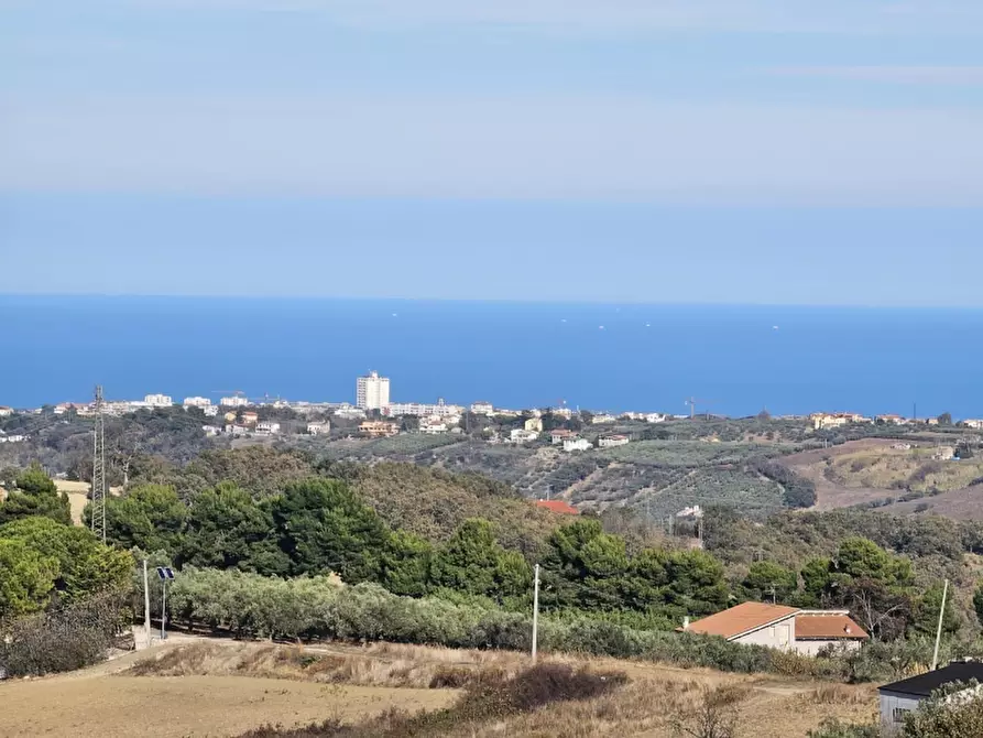 Immagine 20 di Terreno agricolo in vendita  in COLLE MINCUCCI a Cupello