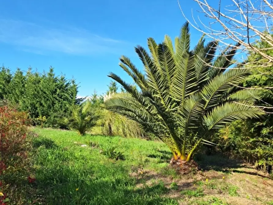 Immagine 22 di Terreno agricolo in vendita  in COLLE MINCUCCI a Cupello