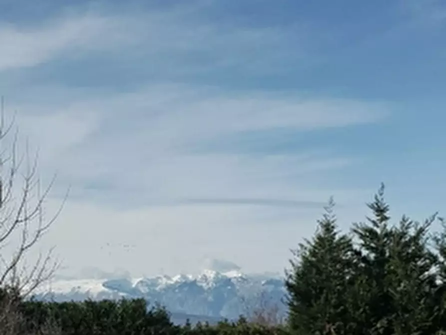 Immagine 7 di Terreno agricolo in vendita  in COLLE MINCUCCI a Cupello