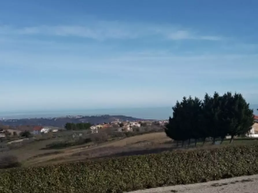 Immagine 11 di Terreno agricolo in vendita  in COLLE MINCUCCI a Cupello