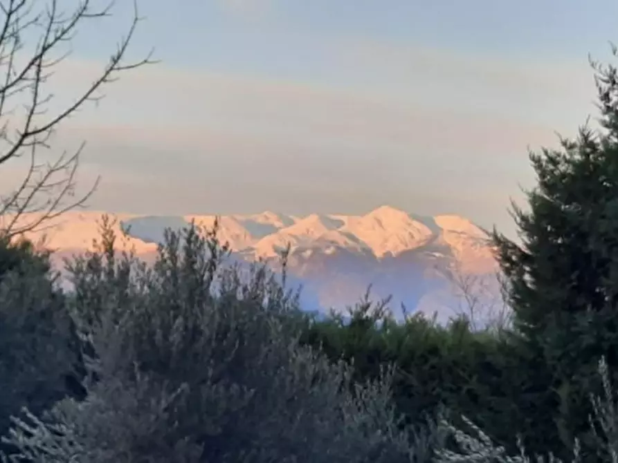 Immagine 12 di Terreno agricolo in vendita  in COLLE MINCUCCI a Cupello