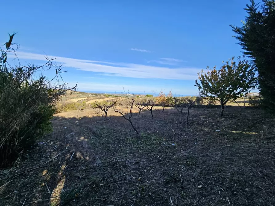 Immagine 13 di Terreno agricolo in vendita  in COLLE MINCUCCI a Cupello