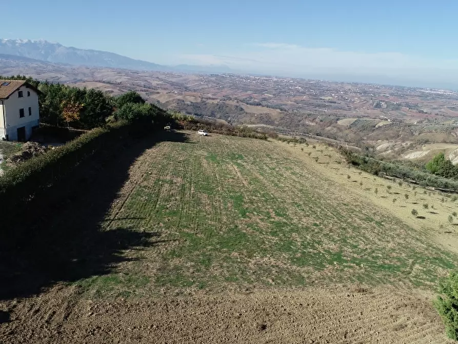 Immagine 14 di Terreno agricolo in vendita  in COLLE MINCUCCI a Cupello