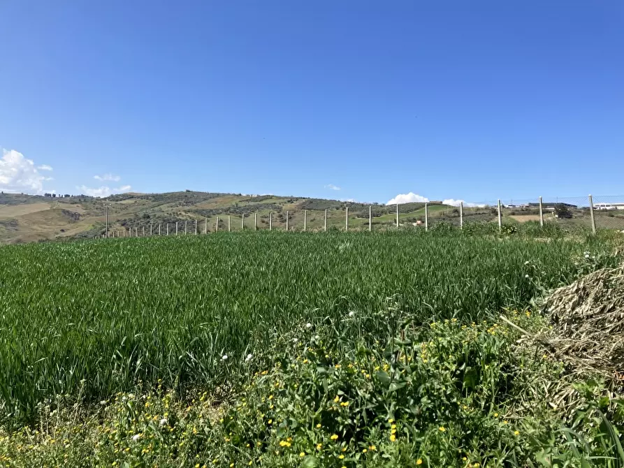 Immagine 4 di Terreno agricolo in vendita  a Vasto