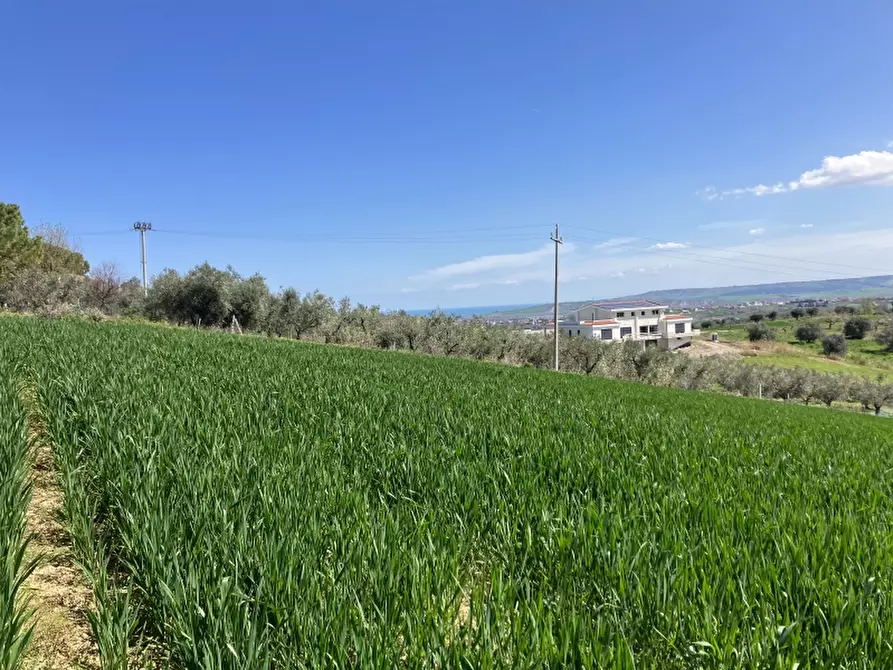 Immagine 13 di Terreno agricolo in vendita  a Vasto