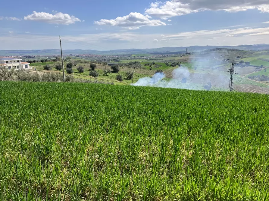 Immagine 14 di Terreno agricolo in vendita  a Vasto
