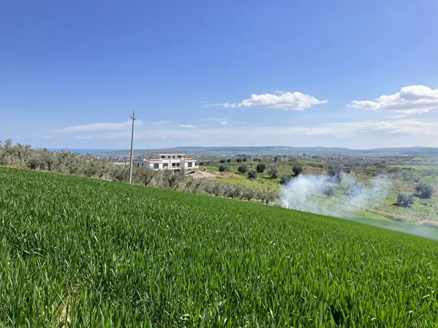 Immagine 1 di Terreno agricolo in vendita  a Vasto